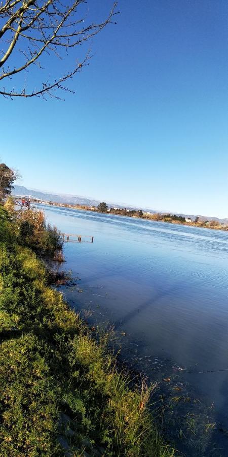 Apartamento Gelum Delta Del Ebro Sant Jaume d'Enveja Eksteriør billede