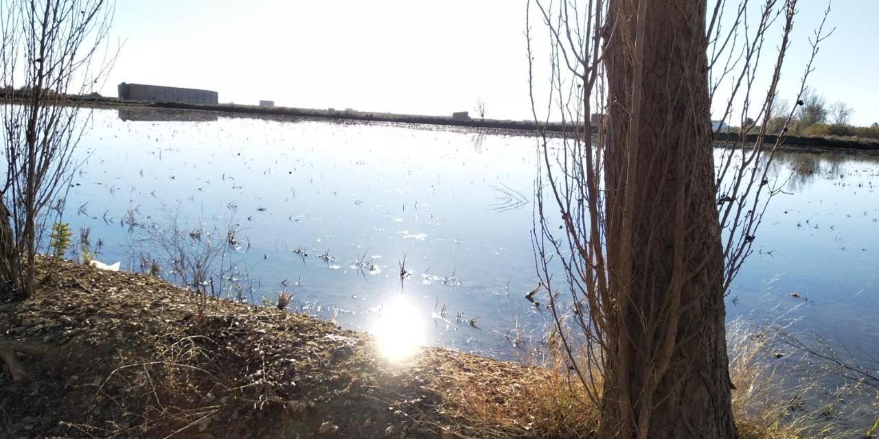 Apartamento Gelum Delta Del Ebro Sant Jaume d'Enveja Eksteriør billede